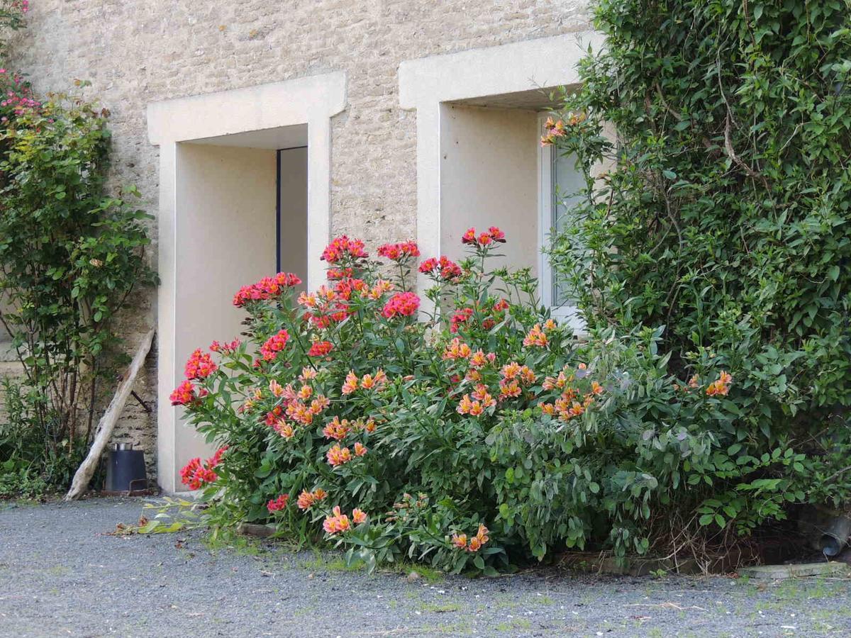Chambres D'Hotes Les Pieris Grandcamp-Maisy Eksteriør bilde